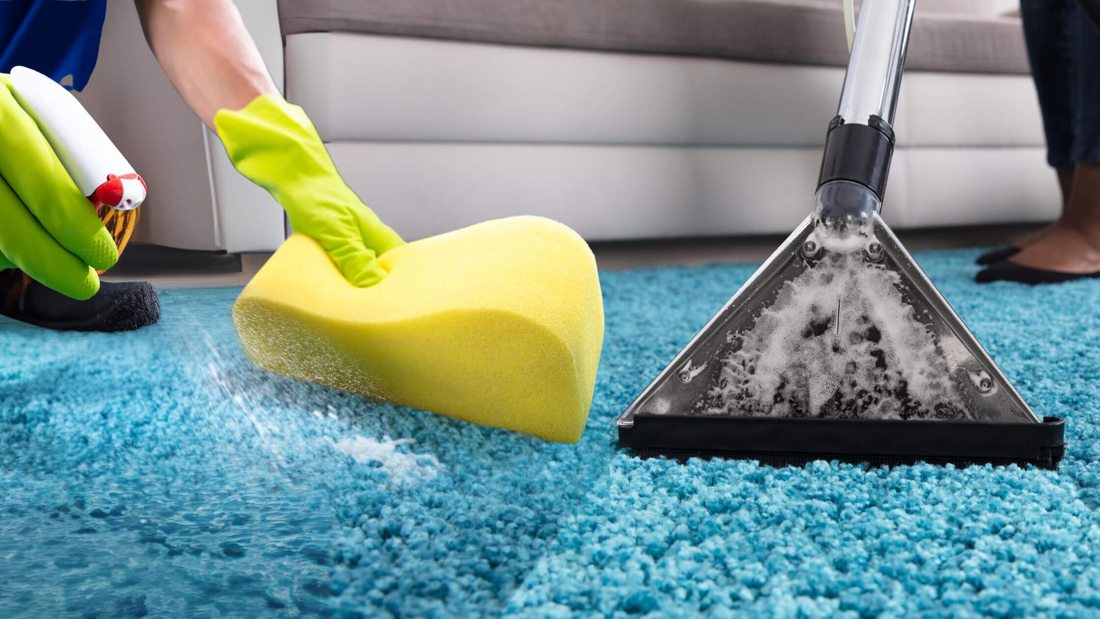 Carpet cleaning with a bright blue carpet, sponge, and extractor wand